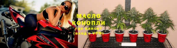 гашиш Богданович