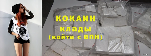 PSILOCYBIN Богородицк