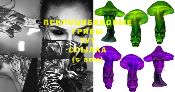 гашиш Богданович