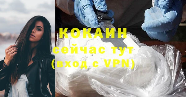 гашиш Богданович