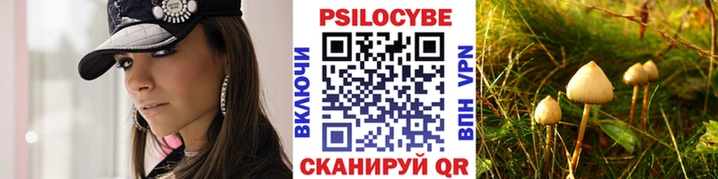Галлюциногенные грибы Psilocybine cubensis наркошоп Великие Луки